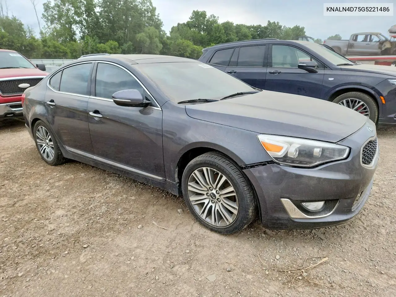 2016 Kia Cadenza Luxury VIN: KNALN4D75G5221486 Lot: 58950436