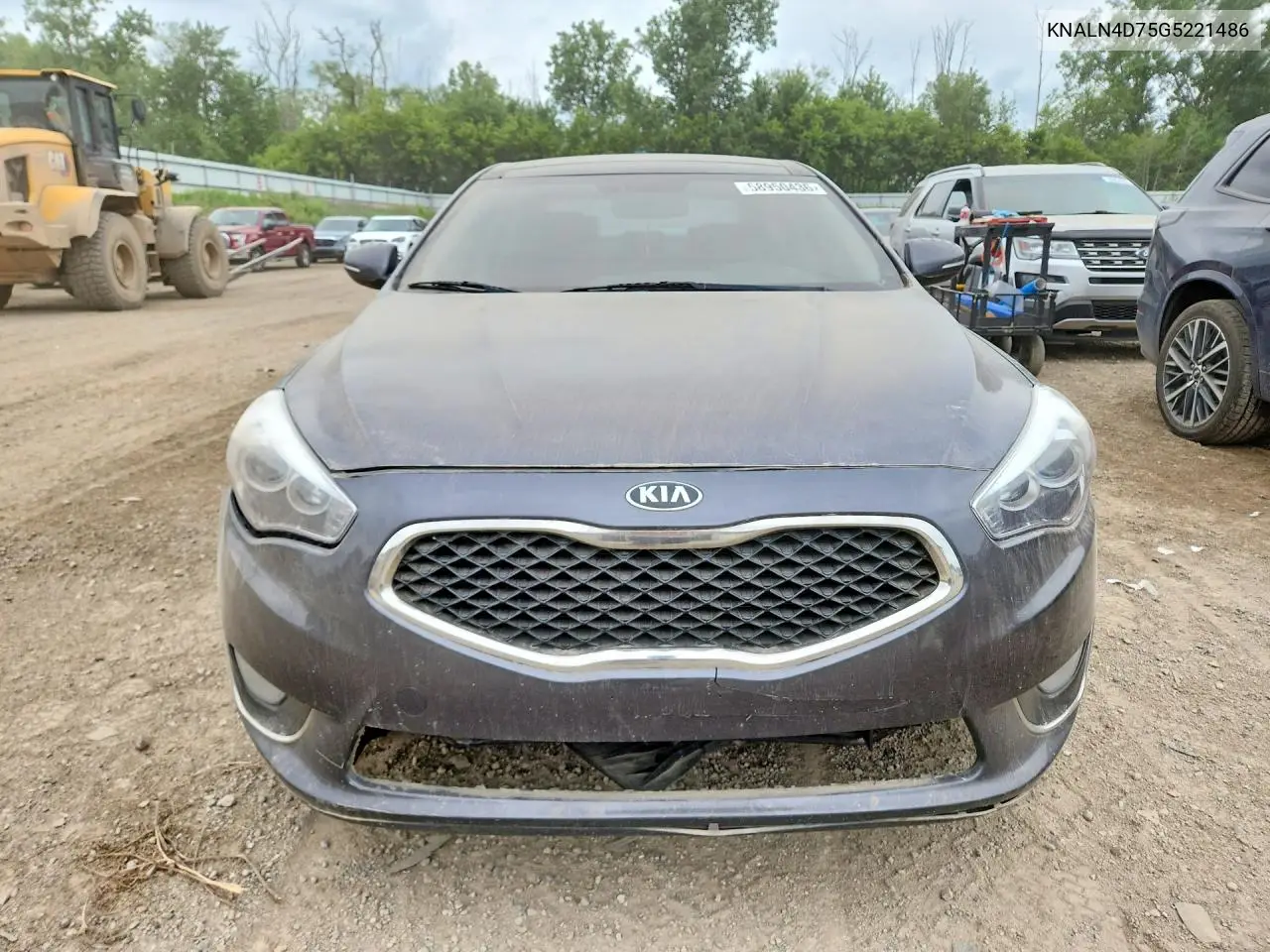 2016 Kia Cadenza Luxury VIN: KNALN4D75G5221486 Lot: 58950436