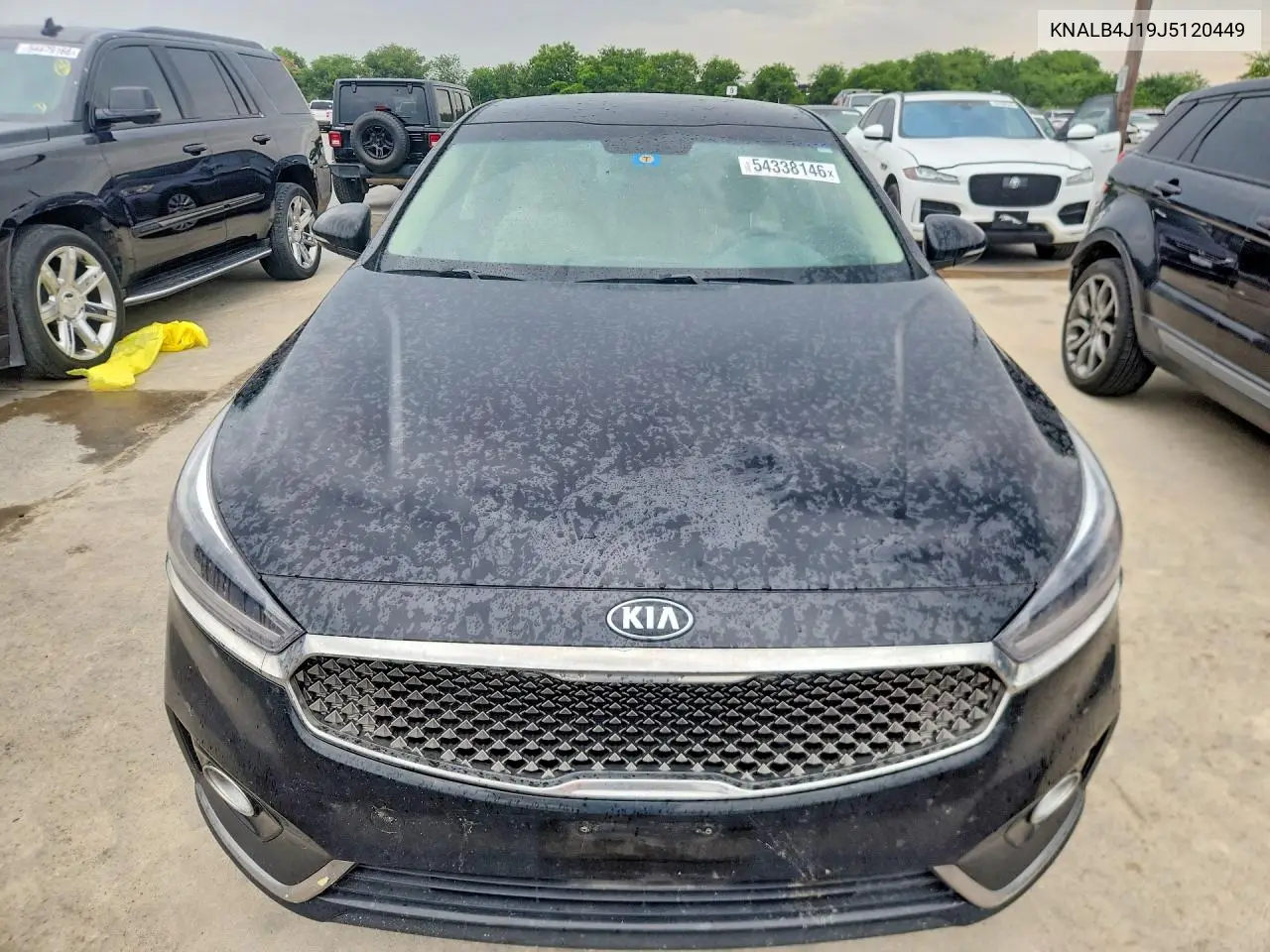 2018 Kia Cadenza Premium VIN: KNALB4J19J5120449 Lot: 54338146