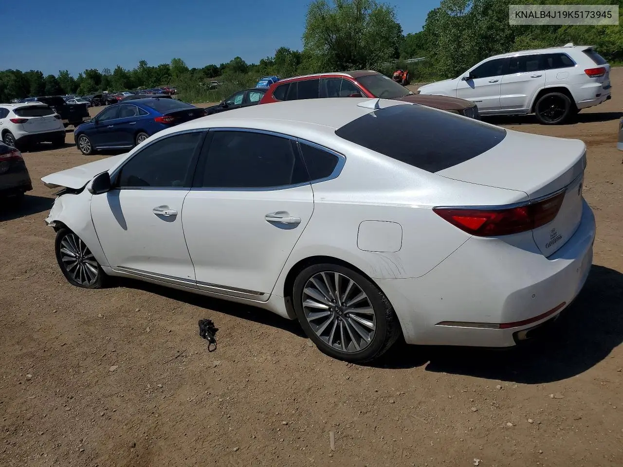 2019 Kia Cadenza Premium VIN: KNALB4J19K5173945 Lot: 54410546