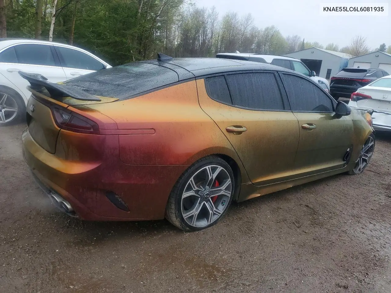 2020 Kia Stinger Gt2 VIN: KNAE55LC6L6081935 Lot: 52255516
