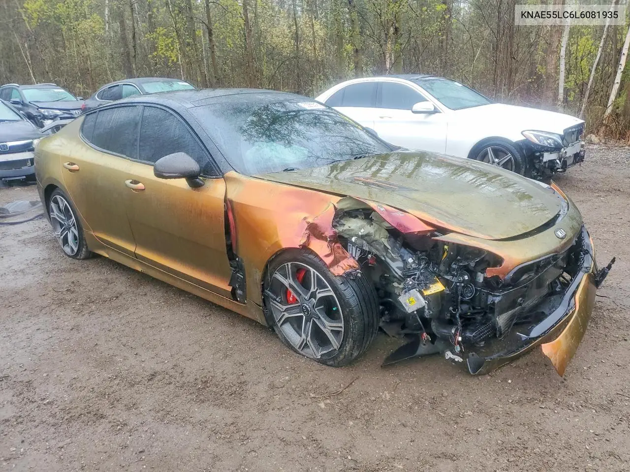 2020 Kia Stinger Gt2 VIN: KNAE55LC6L6081935 Lot: 52255516