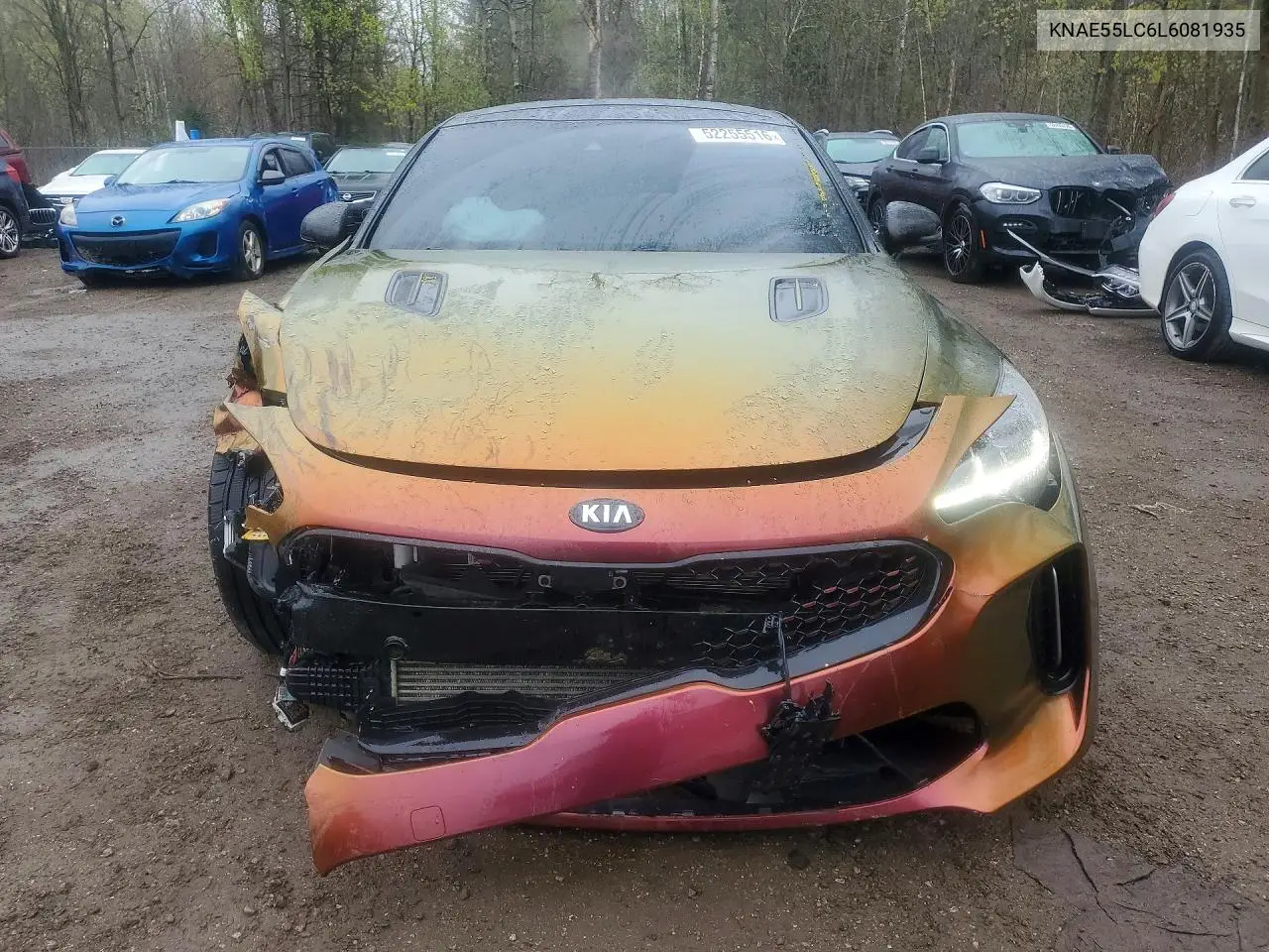 2020 Kia Stinger Gt2 VIN: KNAE55LC6L6081935 Lot: 52255516