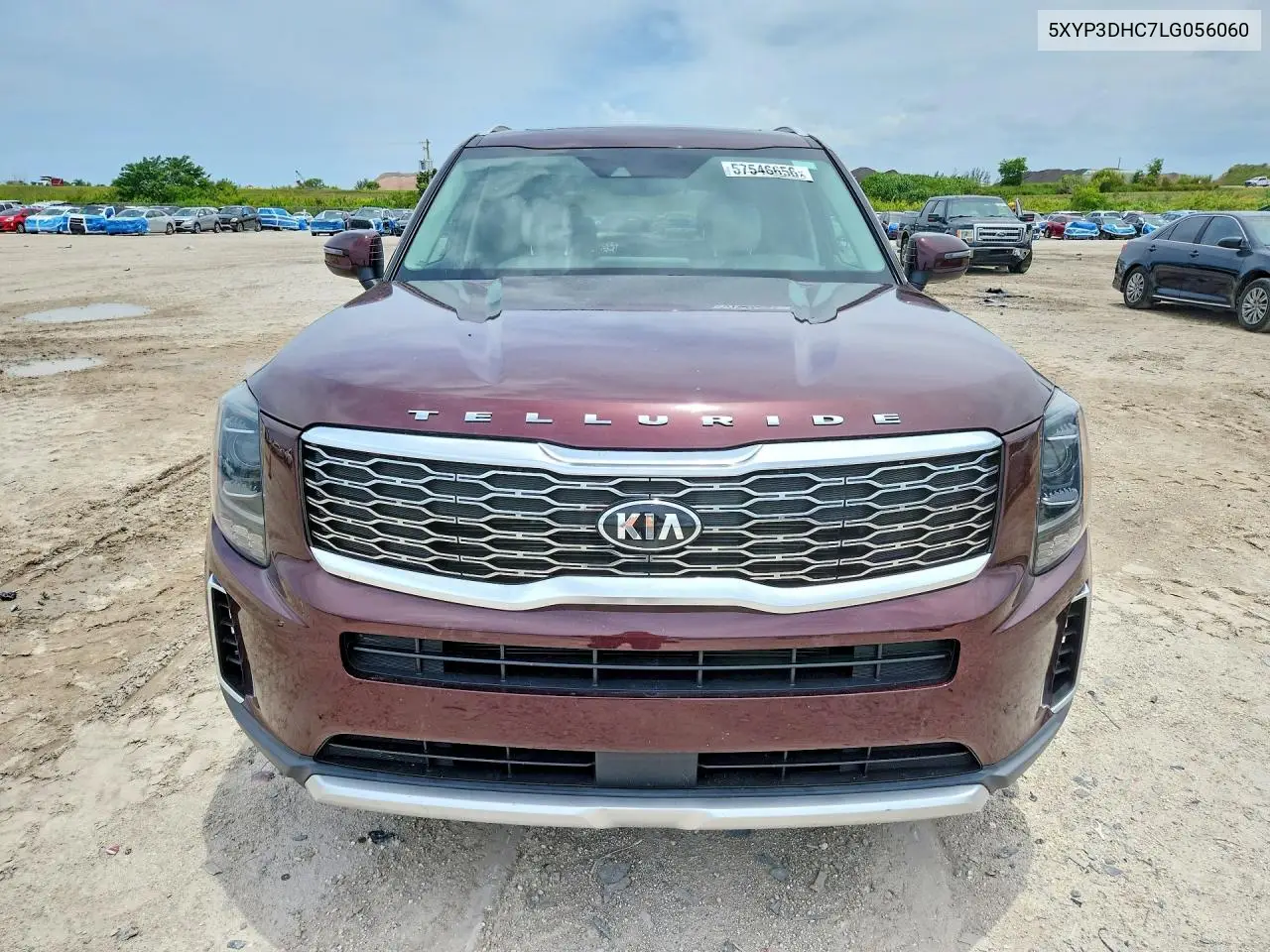 2020 Kia Telluride Ex VIN: 5XYP3DHC7LG056060 Lot: 57546656