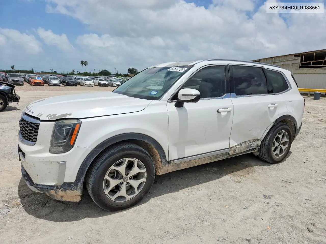 2020 Kia Telluride Ex VIN: 5XYP34HC0LG083651 Lot: 58557736
