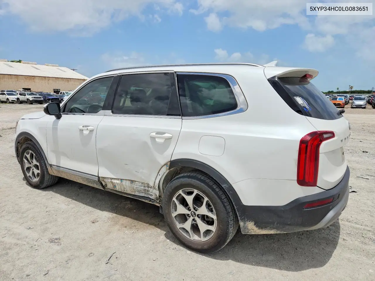 2020 Kia Telluride Ex VIN: 5XYP34HC0LG083651 Lot: 58557736