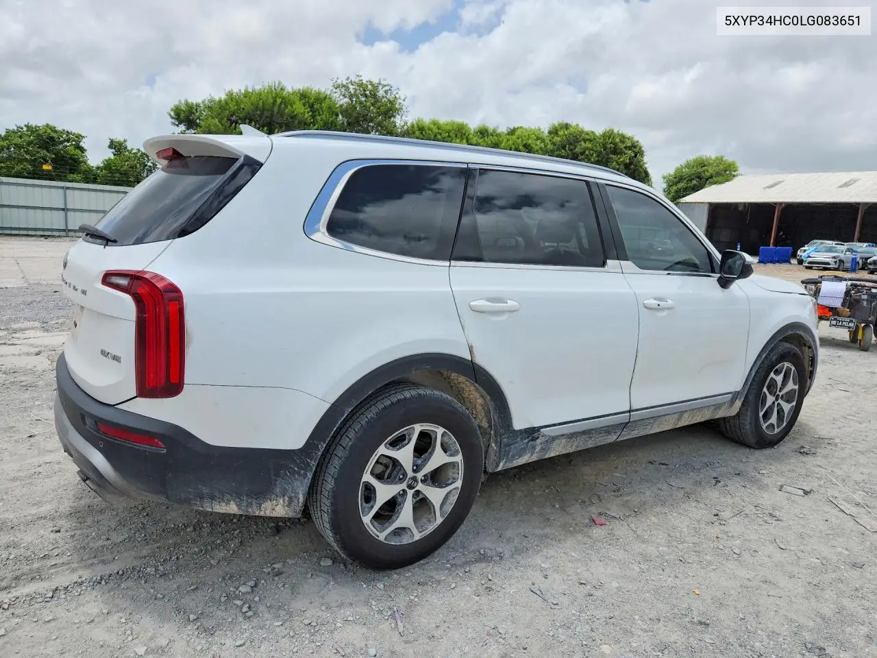 2020 Kia Telluride Ex VIN: 5XYP34HC0LG083651 Lot: 58557736