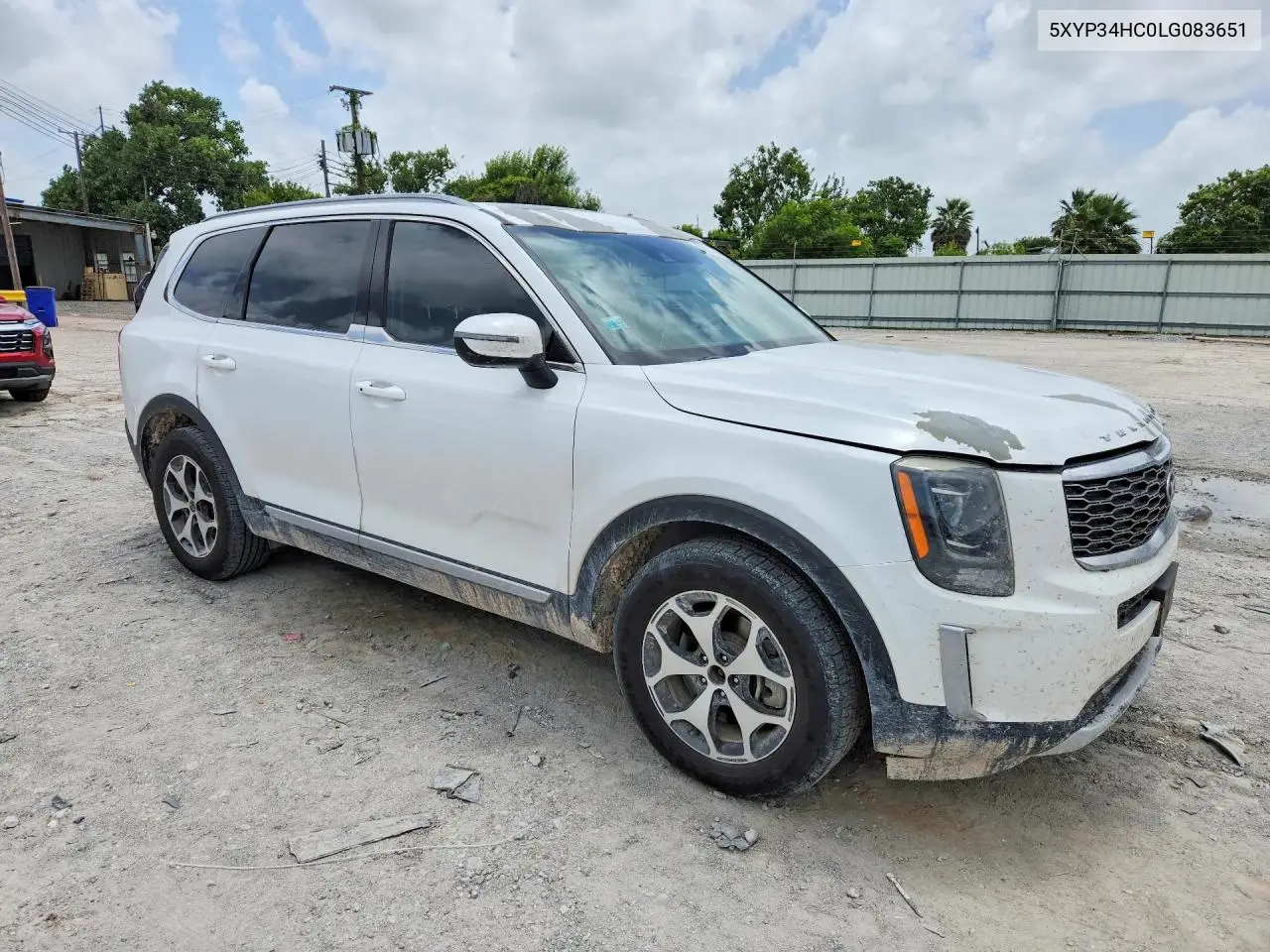 2020 Kia Telluride Ex VIN: 5XYP34HC0LG083651 Lot: 58557736