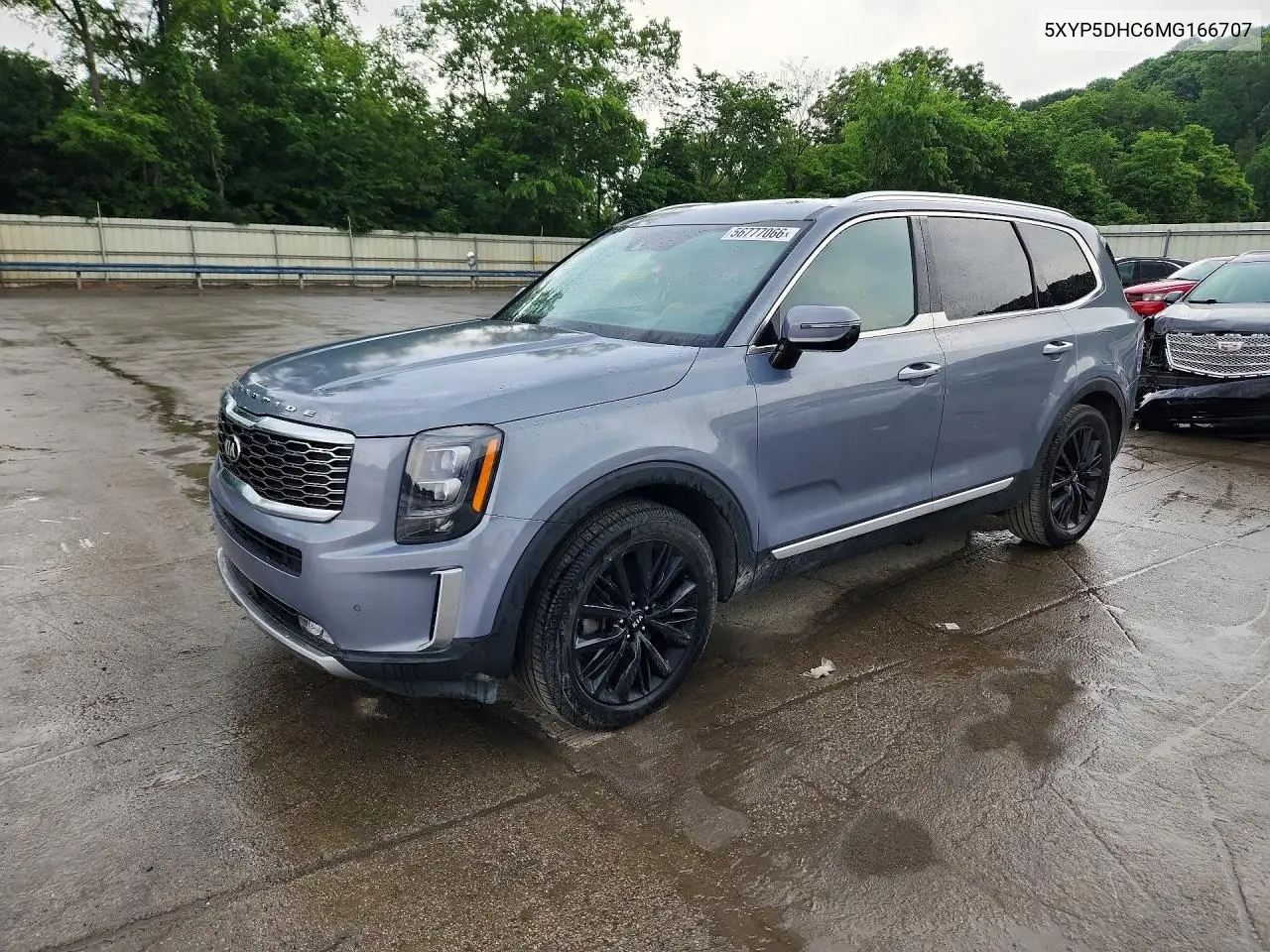 2021 Kia Telluride Sx VIN: 5XYP5DHC6MG166707 Lot: 56777066