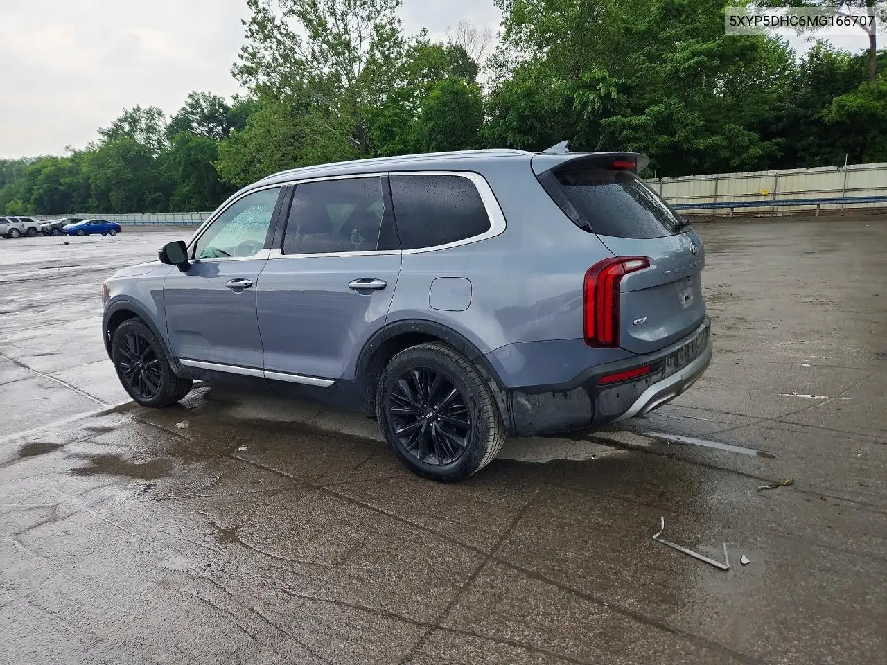 2021 Kia Telluride Sx VIN: 5XYP5DHC6MG166707 Lot: 56777066