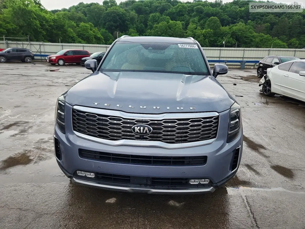 2021 Kia Telluride Sx VIN: 5XYP5DHC6MG166707 Lot: 56777066