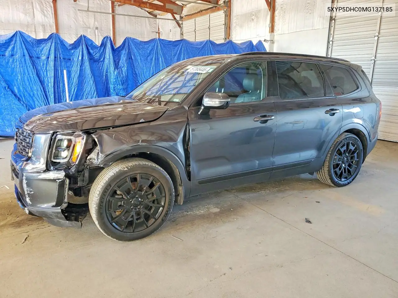 2021 Kia Telluride Sx VIN: 5XYP5DHC0MG137185 Lot: 57365446