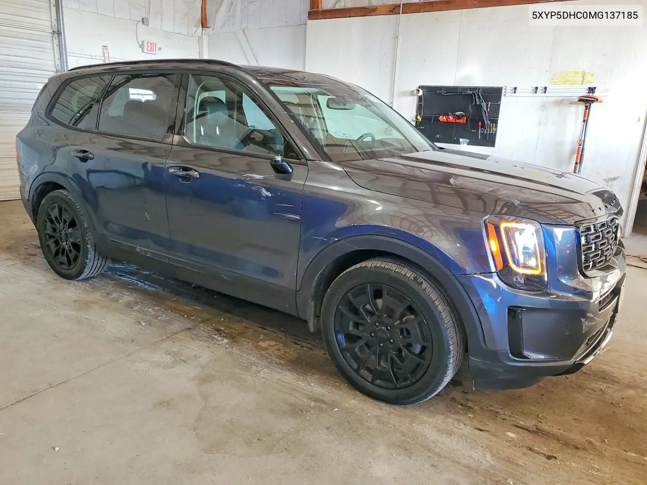 2021 Kia Telluride Sx VIN: 5XYP5DHC0MG137185 Lot: 57365446