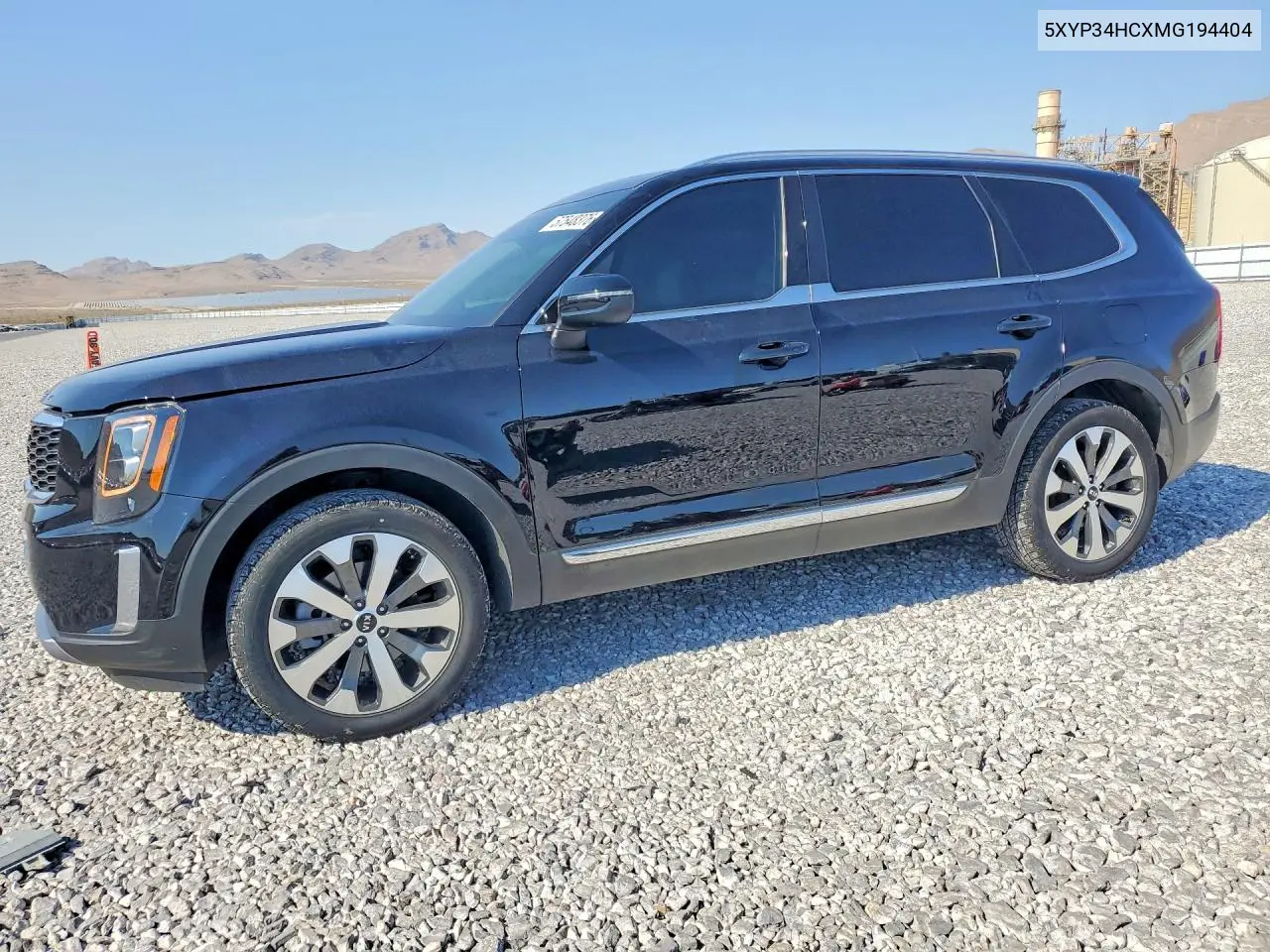 2021 Kia Telluride Ex VIN: 5XYP34HCXMG194404 Lot: 57548376
