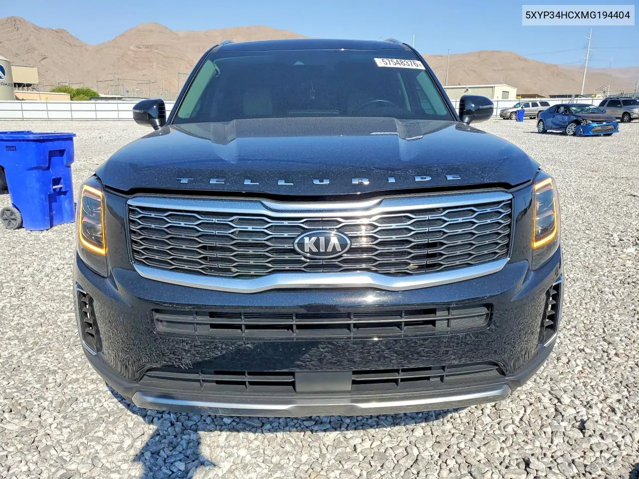 2021 Kia Telluride Ex VIN: 5XYP34HCXMG194404 Lot: 57548376