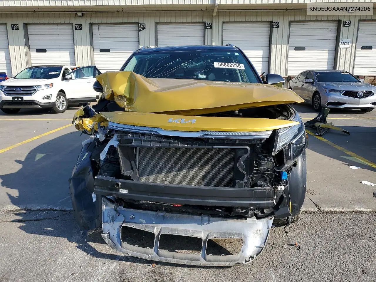 2022 Kia Seltos S VIN: KNDEUCAA4N7274206 Lot: 56802236