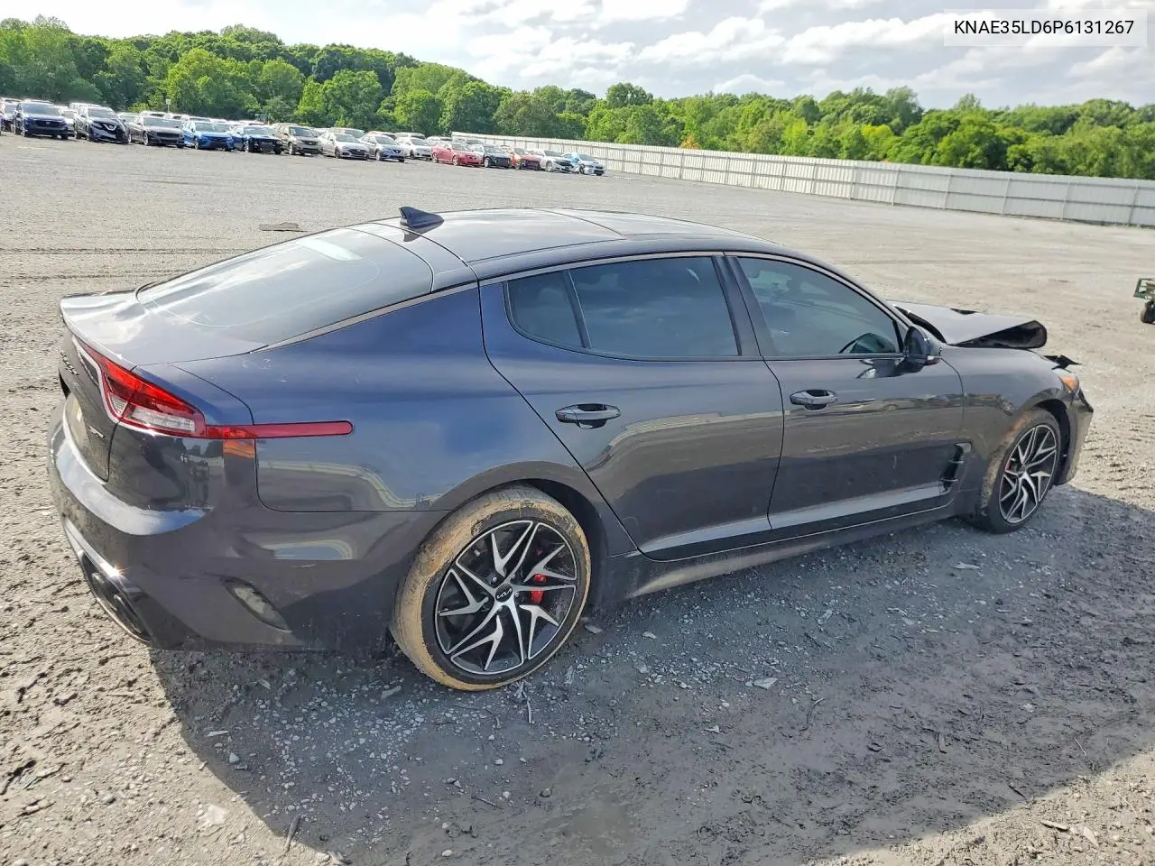 2023 Kia Stinger Gt Line VIN: KNAE35LD6P6131267 Lot: 52780126