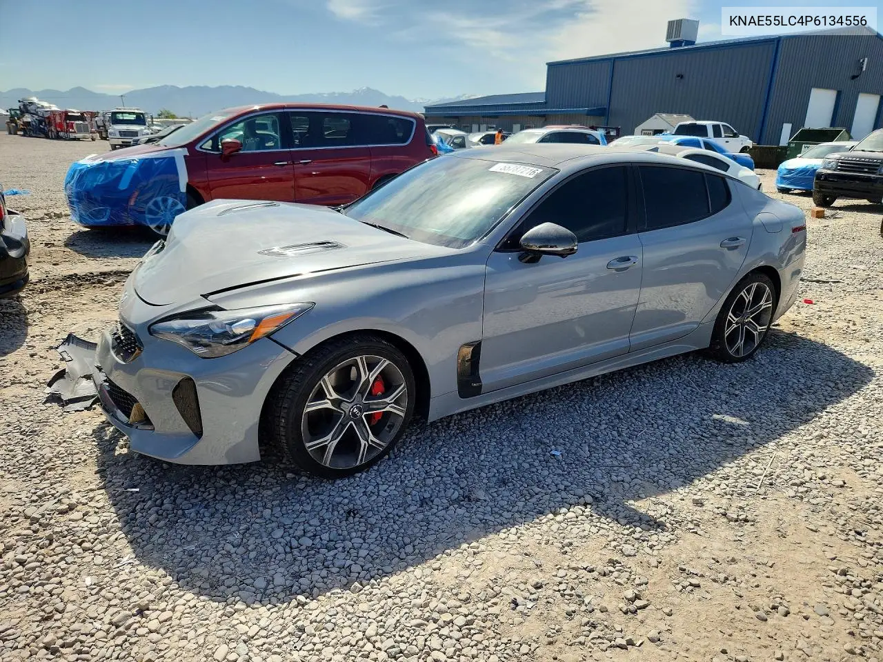 2023 Kia Stinger Gt2 VIN: KNAE55LC4P6134556 Lot: 55787216