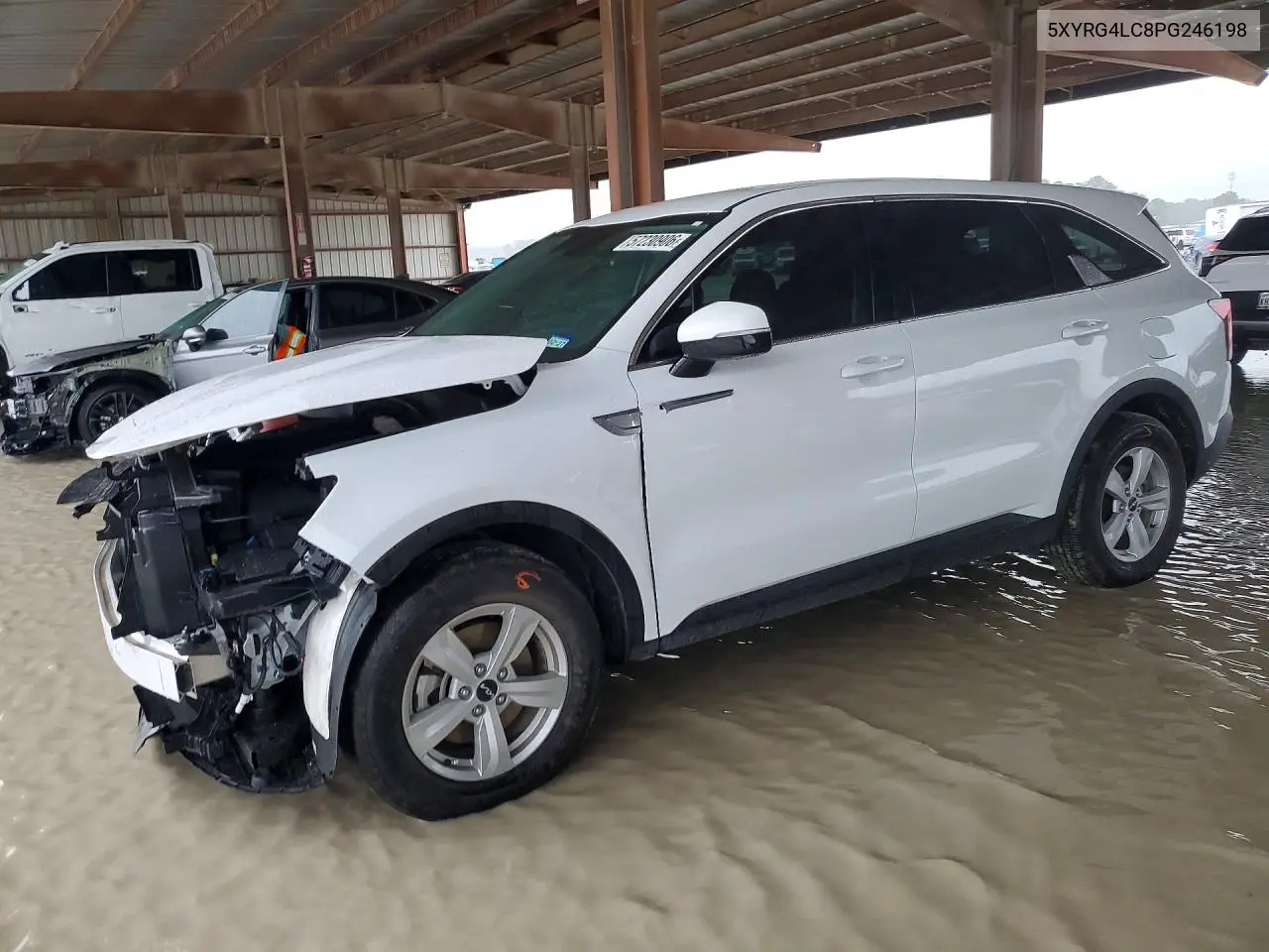2023 Kia Sorento Lx VIN: 5XYRG4LC8PG246198 Lot: 57230906