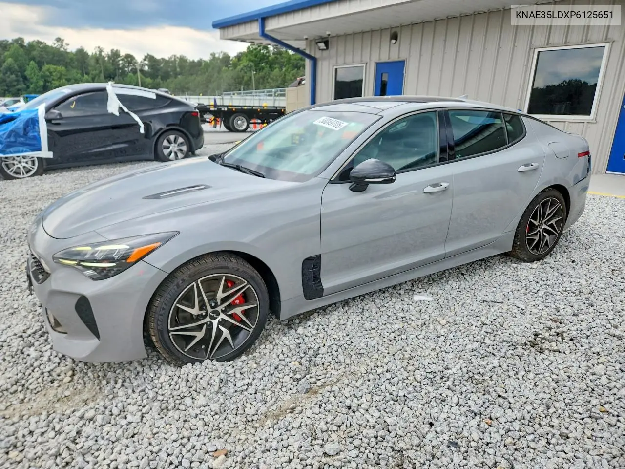 2023 Kia Stinger Gt Line VIN: KNAE35LDXP6125651 Lot: 58049706