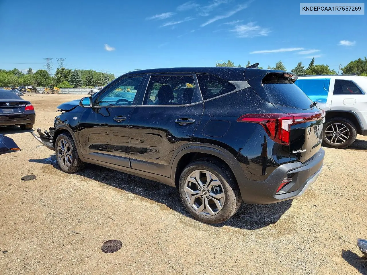 2024 Kia Seltos Lx VIN: KNDEPCAA1R7557269 Lot: 57322696
