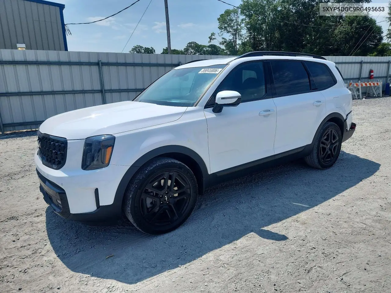 2024 Kia Telluride Sx-Prestige X-Line VIN: 5XYP5DGC9RG495653 Lot: 60045806