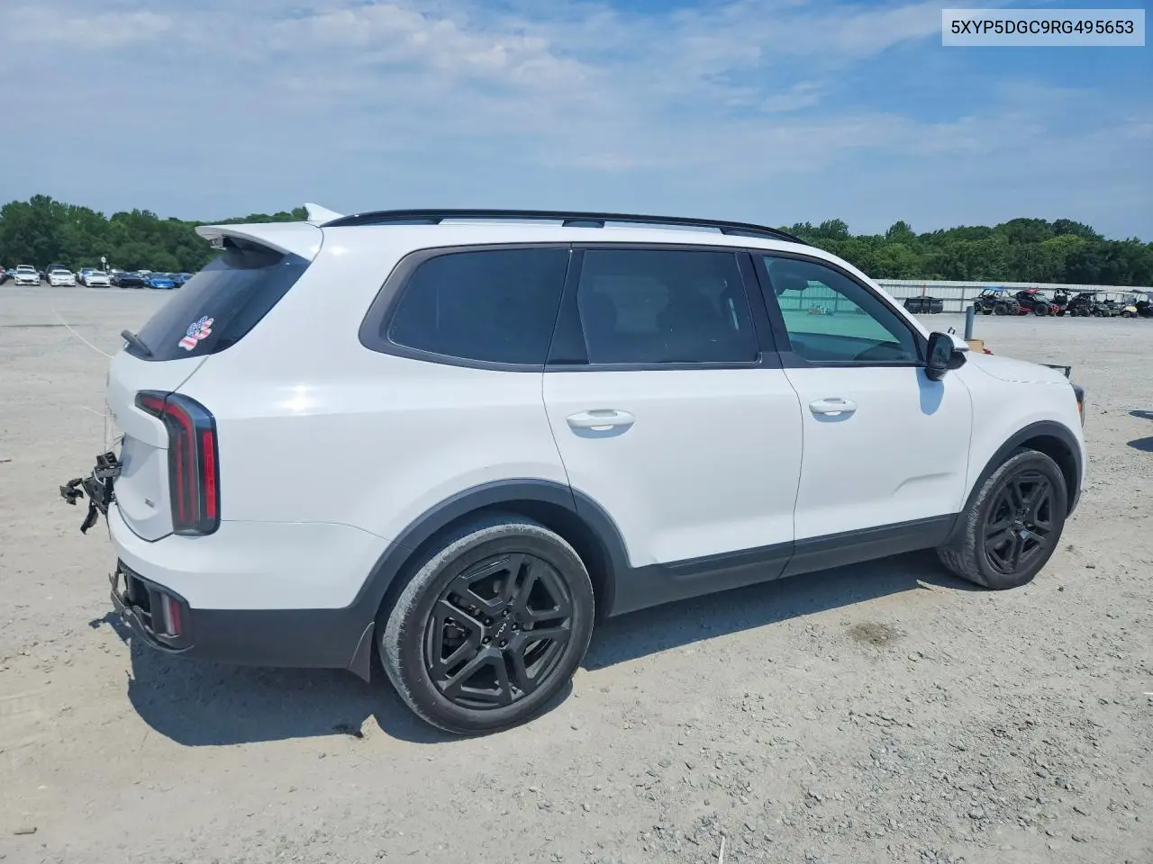 2024 Kia Telluride Sx-Prestige X-Line VIN: 5XYP5DGC9RG495653 Lot: 60045806