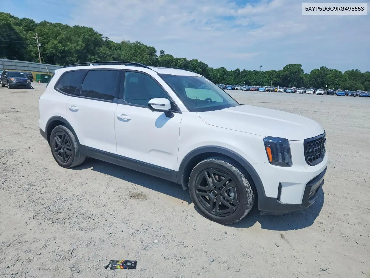 2024 Kia Telluride Sx-Prestige X-Line VIN: 5XYP5DGC9RG495653 Lot: 60045806