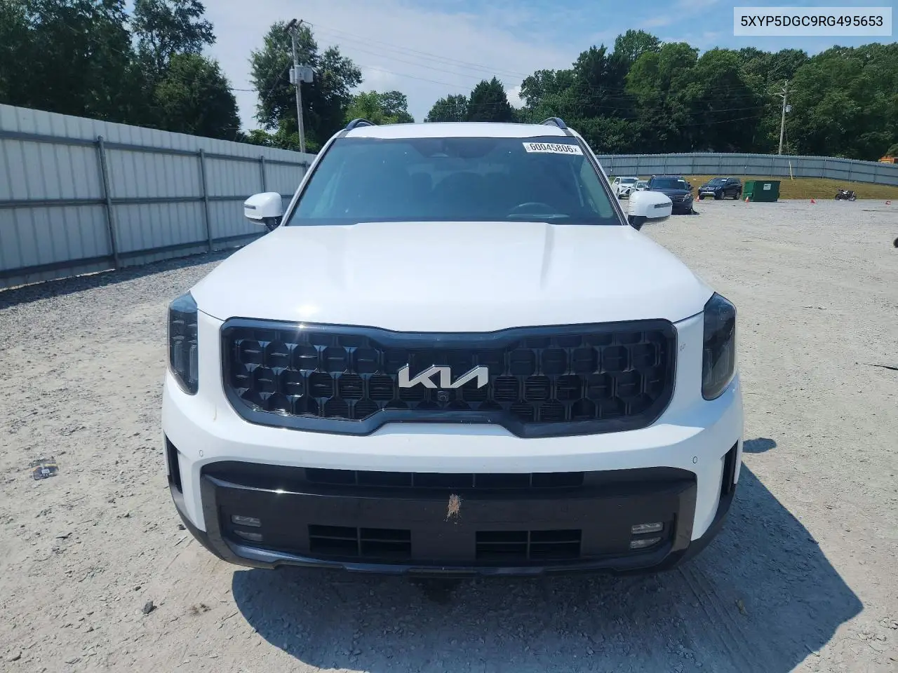 2024 Kia Telluride Sx-Prestige X-Line VIN: 5XYP5DGC9RG495653 Lot: 60045806