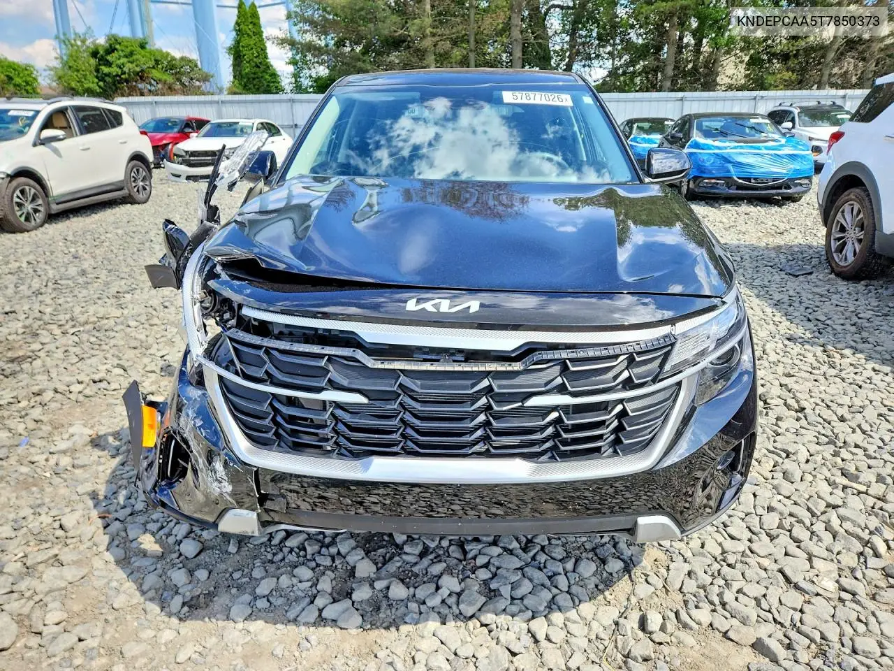 2026 Kia Seltos Lx VIN: KNDEPCAA5T7850373 Lot: 57877026