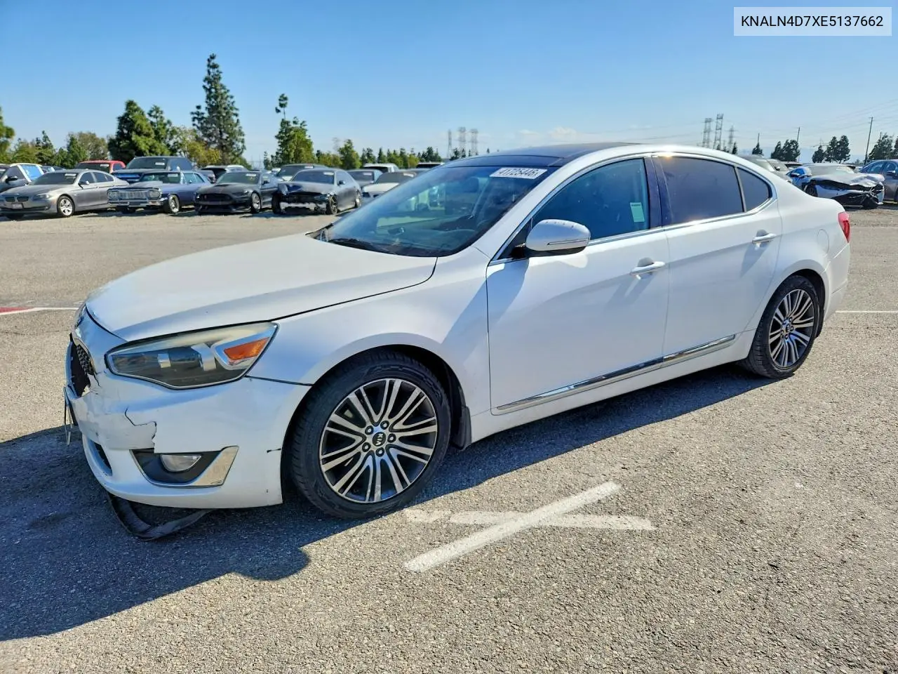 2014 Kia Cadenza Premium VIN: KNALN4D7XE5137662 Lot: 41725446