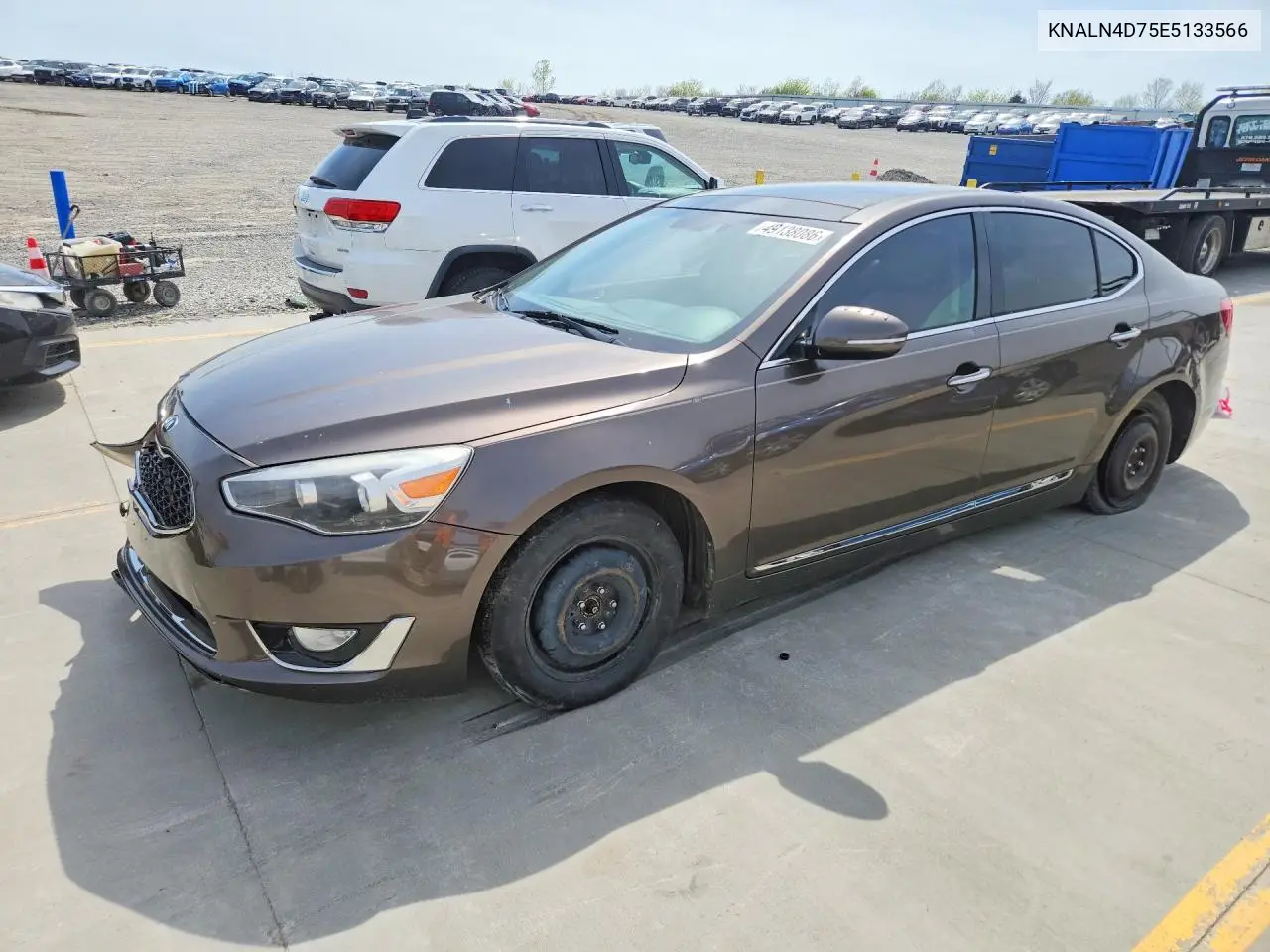 2014 Kia Cadenza Premium VIN: KNALN4D75E5133566 Lot: 49138086