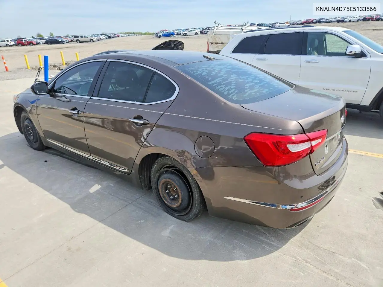 2014 Kia Cadenza Premium VIN: KNALN4D75E5133566 Lot: 49138086