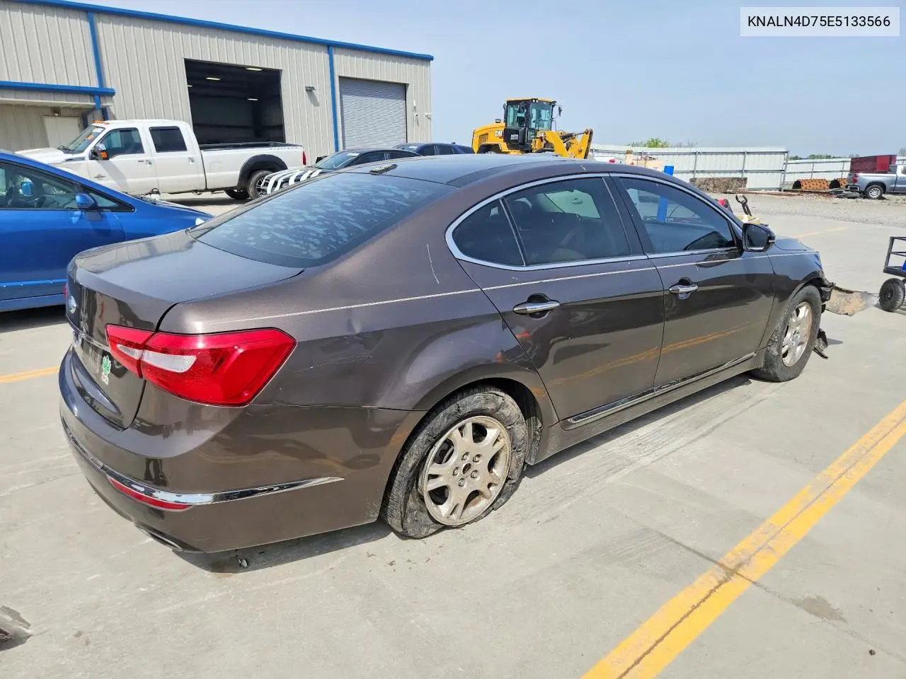 2014 Kia Cadenza Premium VIN: KNALN4D75E5133566 Lot: 49138086