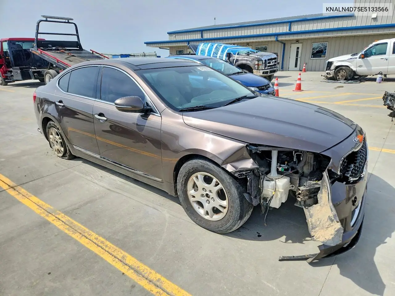 2014 Kia Cadenza Premium VIN: KNALN4D75E5133566 Lot: 49138086
