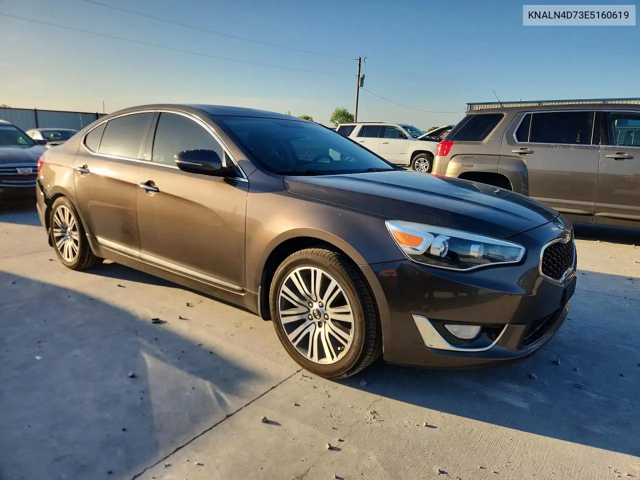 2014 Kia Cadenza Premium VIN: KNALN4D73E5160619 Lot: 55423086