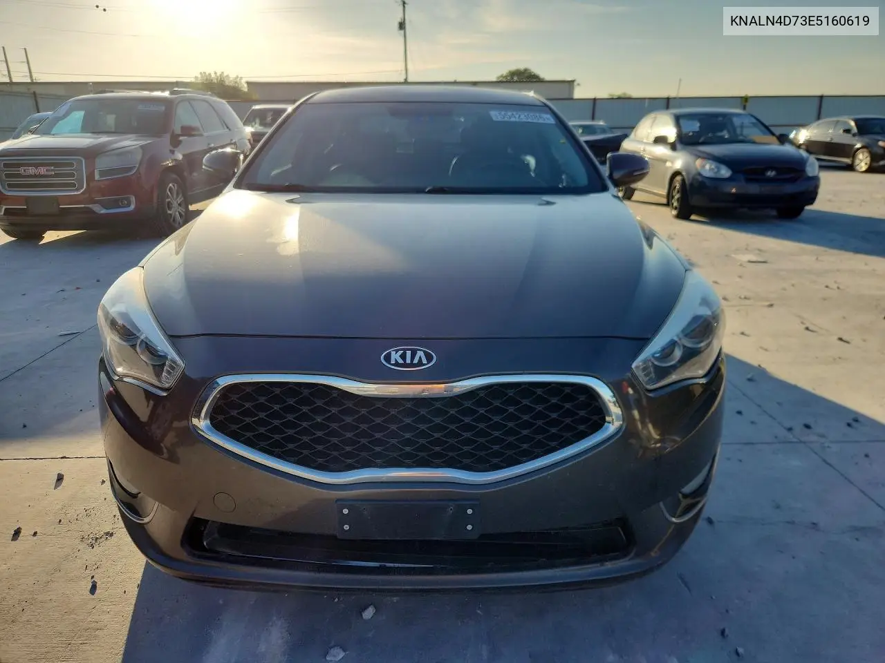 2014 Kia Cadenza Premium VIN: KNALN4D73E5160619 Lot: 55423086