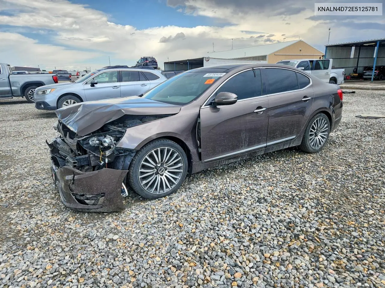 2014 Kia Cadenza Premium VIN: KNALN4D72E5125781 Lot: 55780436
