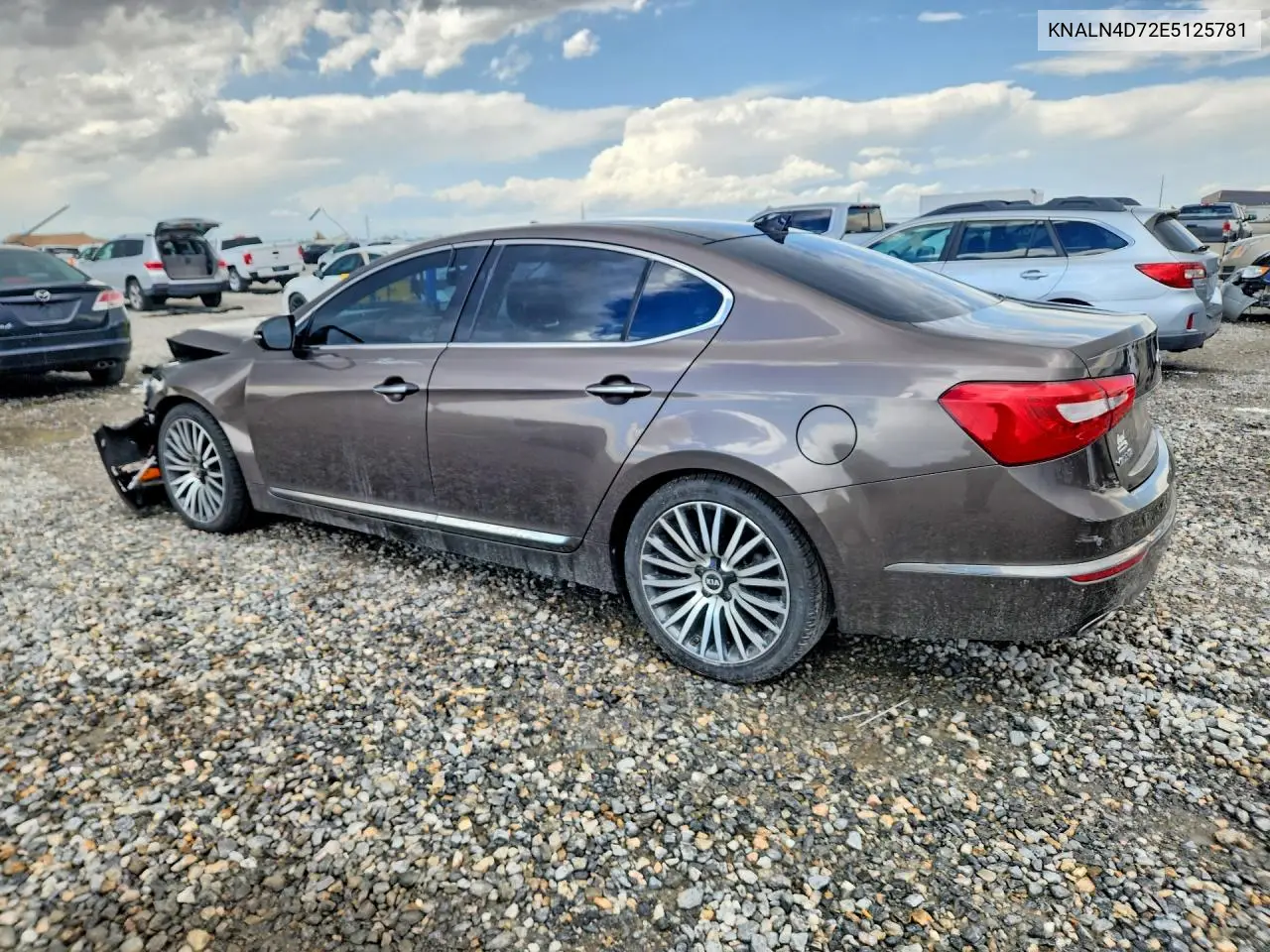 2014 Kia Cadenza Premium VIN: KNALN4D72E5125781 Lot: 55780436