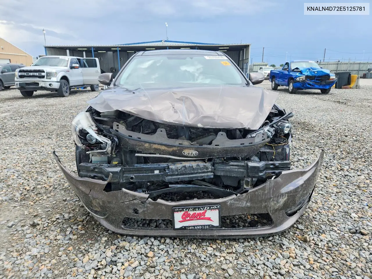 2014 Kia Cadenza Premium VIN: KNALN4D72E5125781 Lot: 55780436