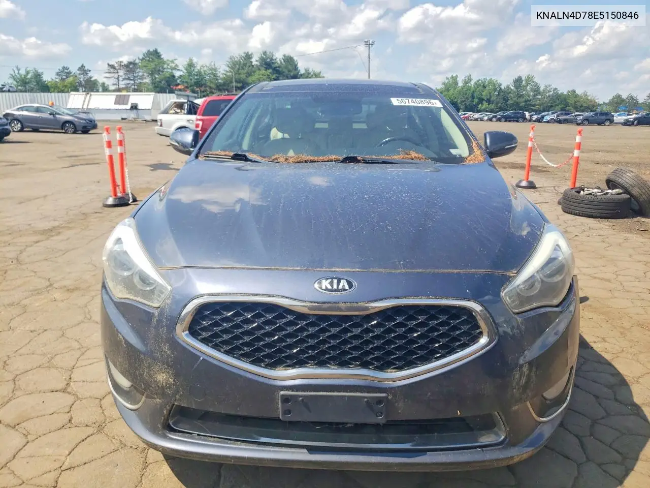 2014 Kia Cadenza Premium VIN: KNALN4D78E5150846 Lot: 56740896