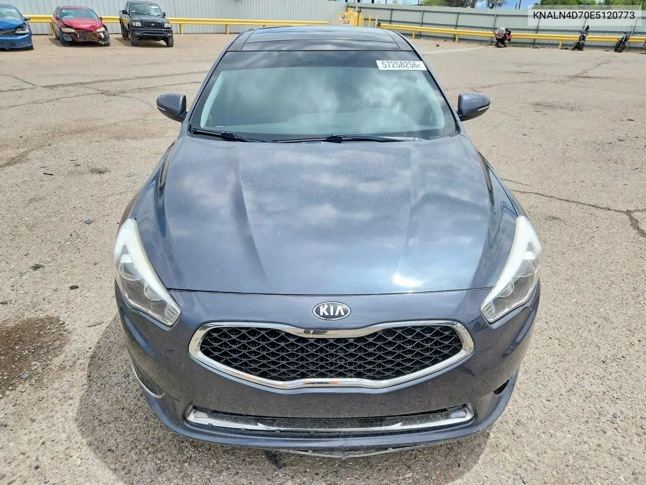 2014 Kia Cadenza Ex VIN: KNALN4D70E5120773 Lot: 57258256