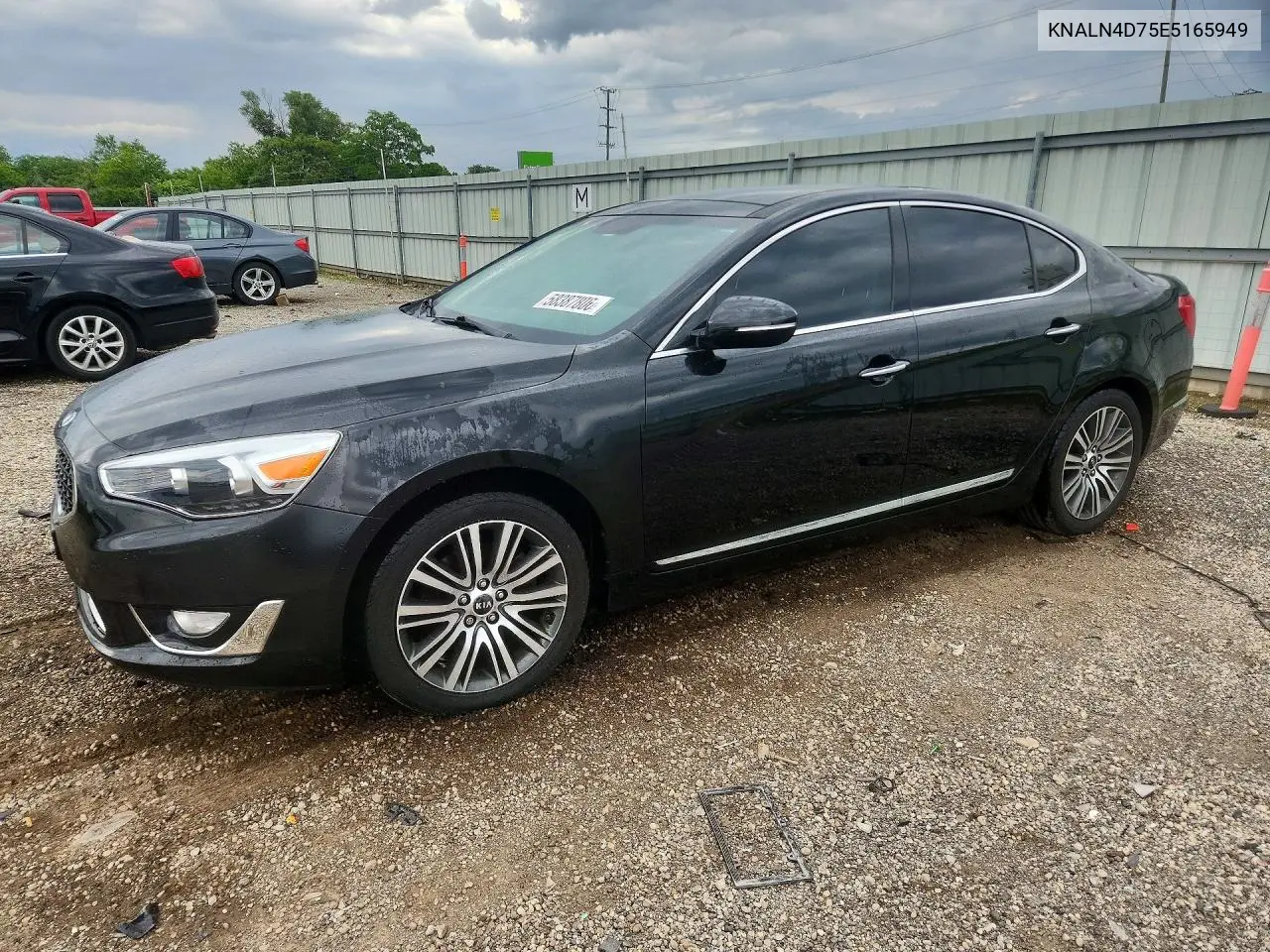 2014 Kia Cadenza Premium VIN: KNALN4D75E5165949 Lot: 58387806