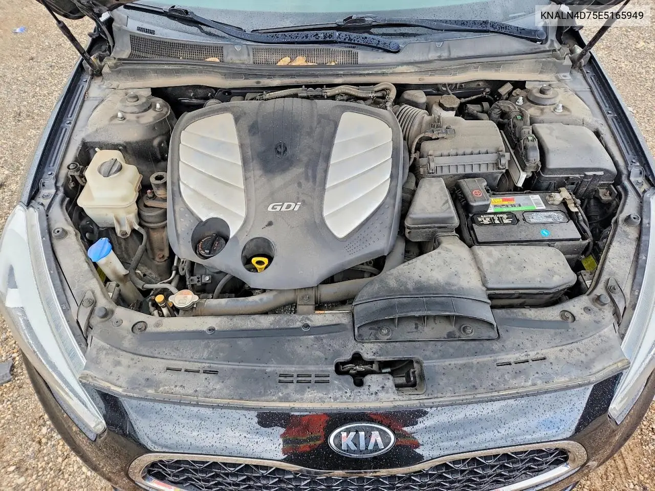 2014 Kia Cadenza Premium VIN: KNALN4D75E5165949 Lot: 58387806