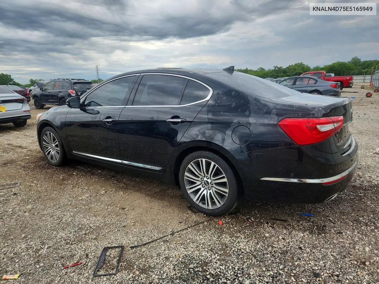 2014 Kia Cadenza Premium VIN: KNALN4D75E5165949 Lot: 58387806