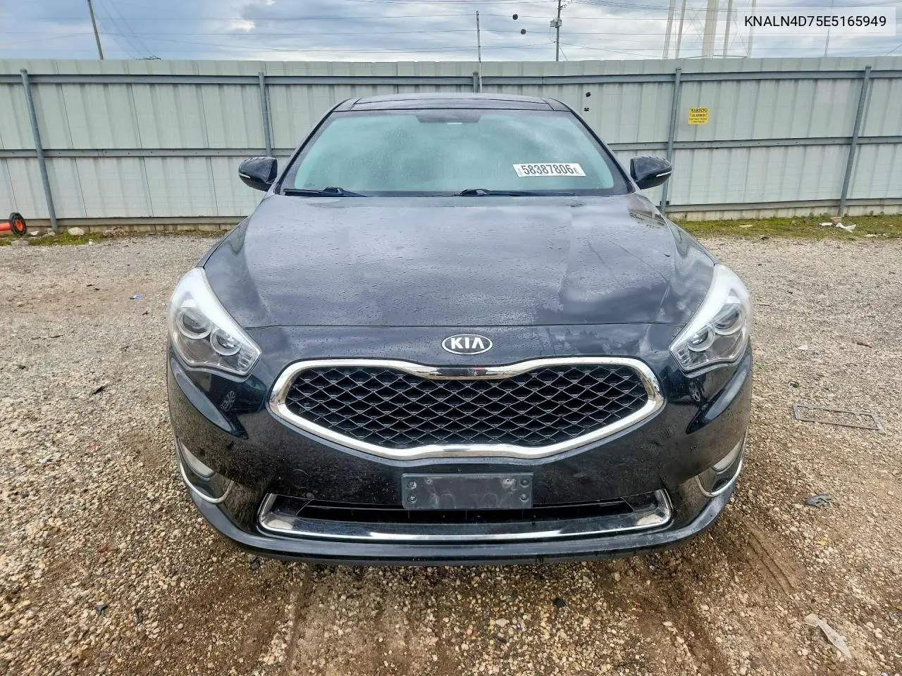 2014 Kia Cadenza Premium VIN: KNALN4D75E5165949 Lot: 58387806