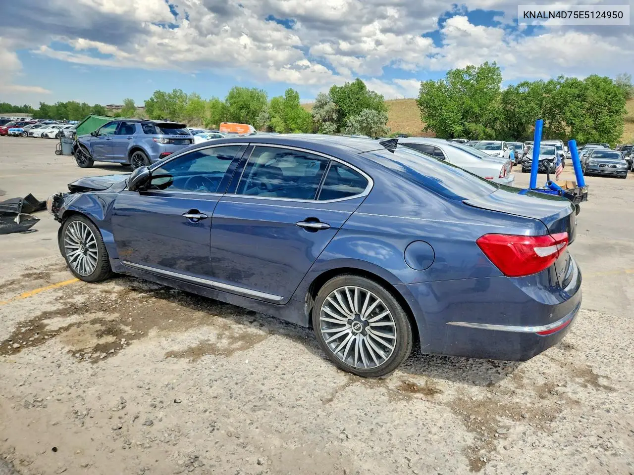 2014 Kia Cadenza Premium VIN: KNALN4D75E5124950 Lot: 59262616