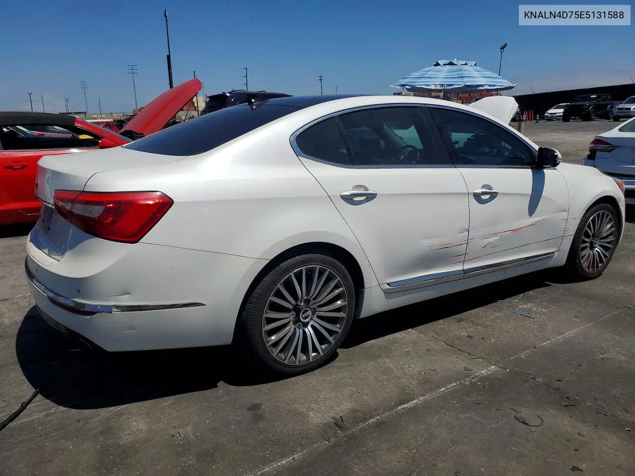 2014 Kia Cadenza Premium VIN: KNALN4D75E5131588 Lot: 59377656