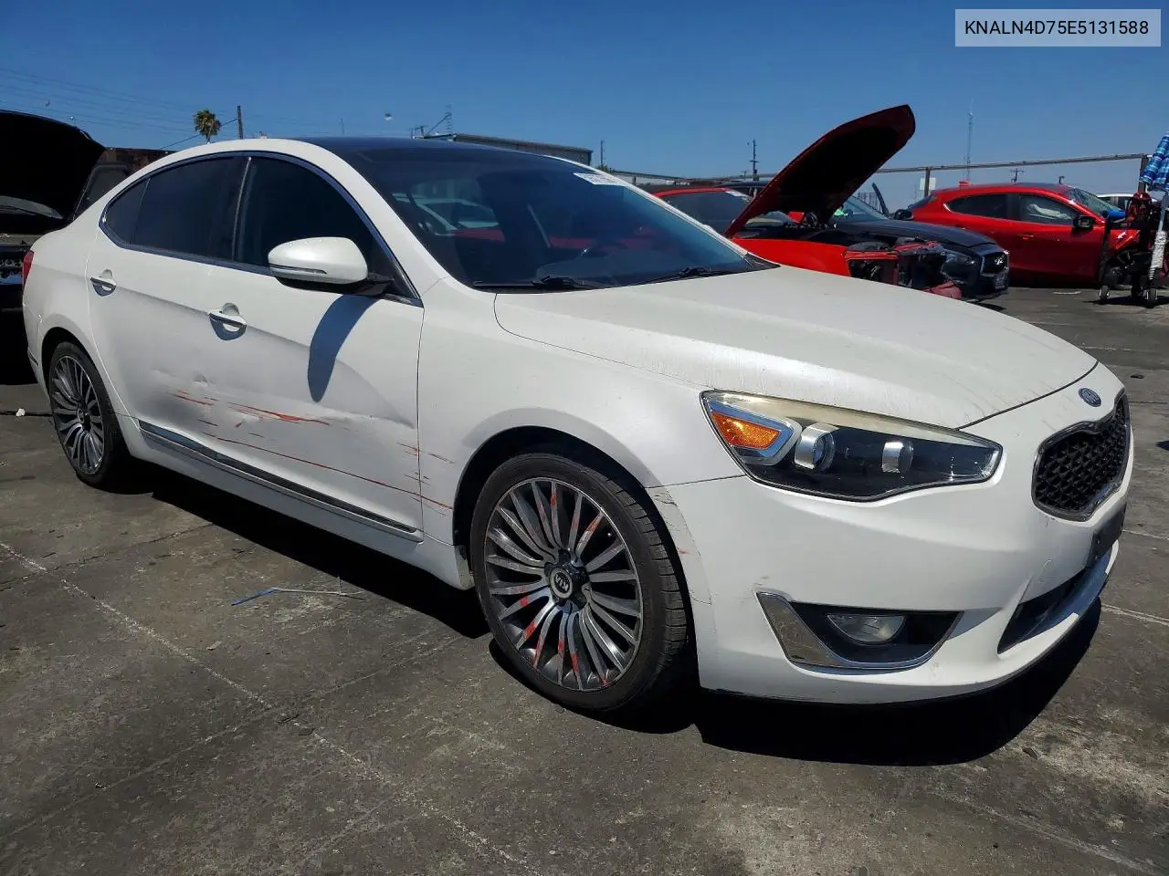 2014 Kia Cadenza Premium VIN: KNALN4D75E5131588 Lot: 59377656