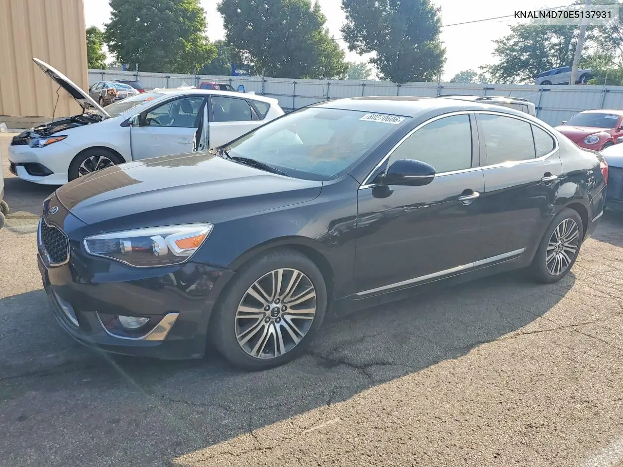 2014 Kia Cadenza Premium VIN: KNALN4D70E5137931 Lot: 60270606